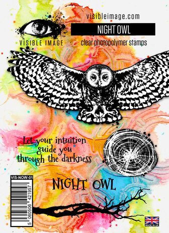 Visible Image Night Owl A6 Stamp Set (VIS-NOW-01) Visible Image Night Owl A6 Stamp Set (VIS-NOW-01)