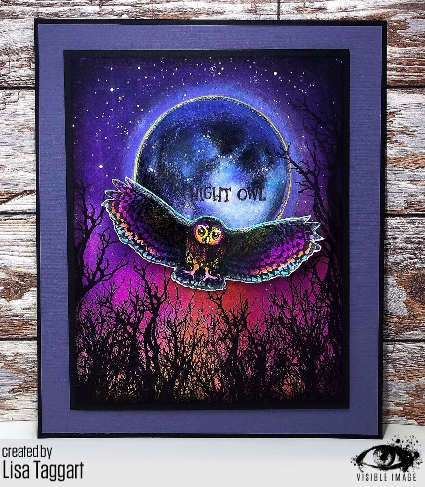 Visible Image Night Owl A6 Stamp Set (VIS-NOW-01) Visible Image Night Owl A6 Stamp Set (VIS-NOW-01)