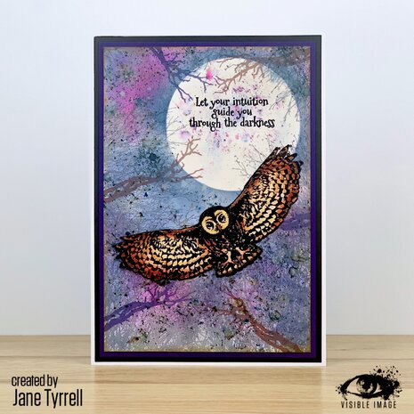 Visible Image Night Owl A6 Stamp Set (VIS-NOW-01) Visible Image Night Owl A6 Stamp Set (VIS-NOW-01)
