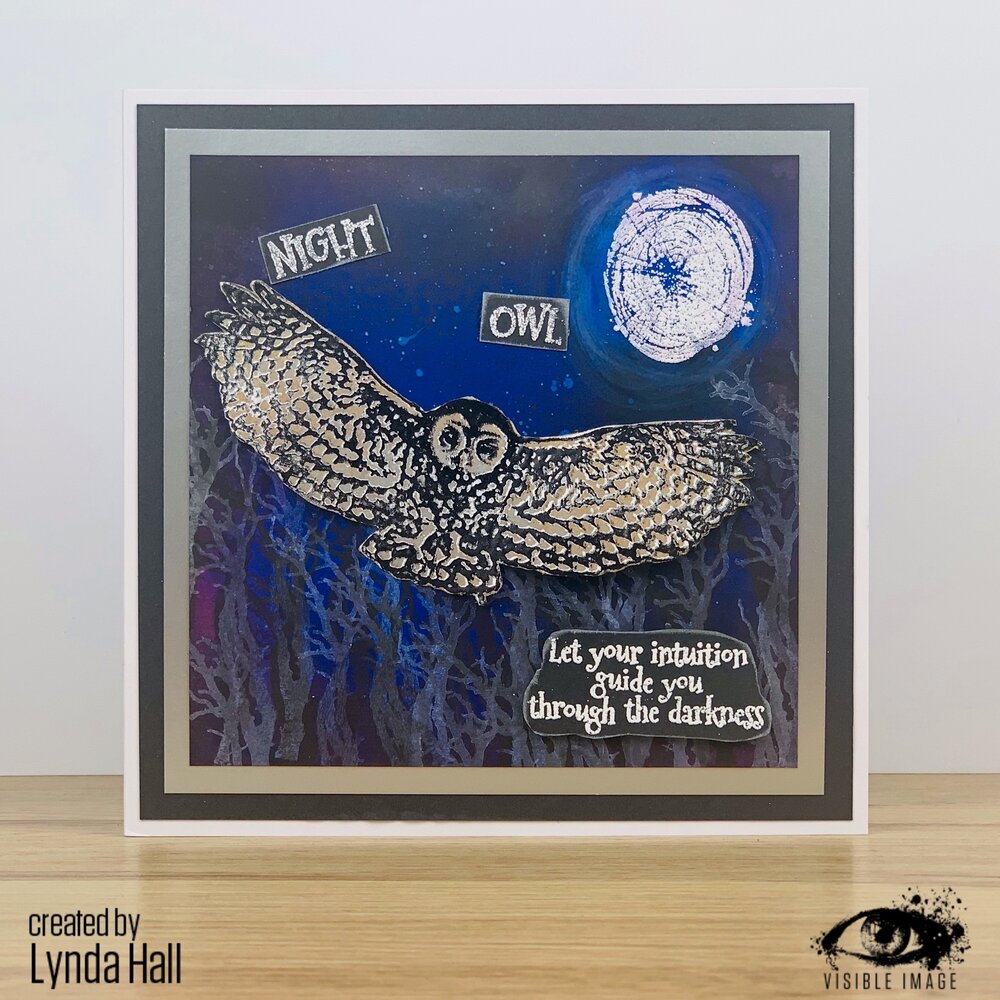 Visible Image Night Owl A6 Stamp Set (VIS-NOW-01) Visible Image Night Owl A6 Stamp Set (VIS-NOW-01)