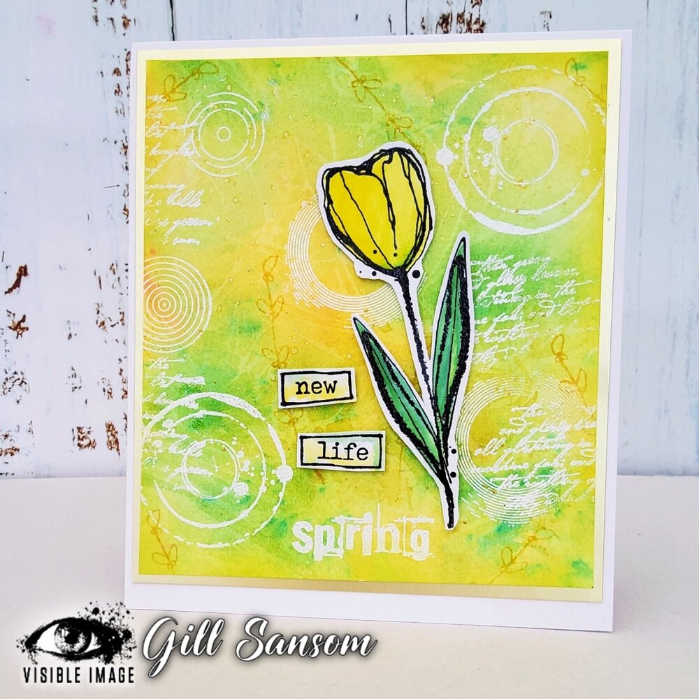 Visible Image Round In Circles A6 Stamp Set (VIS-RIC-01) Visible Image Round In Circles A6 Stamp Set (VIS-RIC-01)