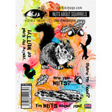 Visible Image Nuts About Squirrels A6 Stamp Set (VIS-NSQ-01)
