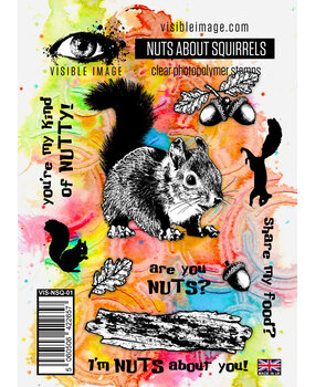 Visible Image Nuts About Squirrels A6 Stamp Set (VIS-NSQ-01)