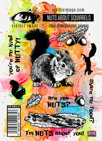 Visible Image Nuts About Squirrels A6 Stamp Set (VIS-NSQ-01) Visible Image Nuts About Squirrels A6 Stamp Set (VIS-NSQ-01)