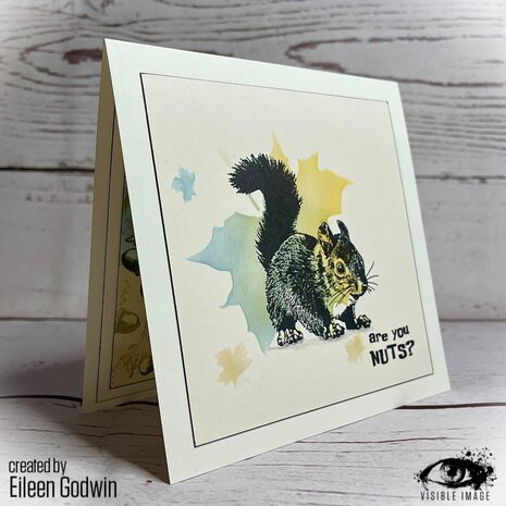 Visible Image Nuts About Squirrels A6 Stamp Set (VIS-NSQ-01) Visible Image Nuts About Squirrels A6 Stamp Set (VIS-NSQ-01)