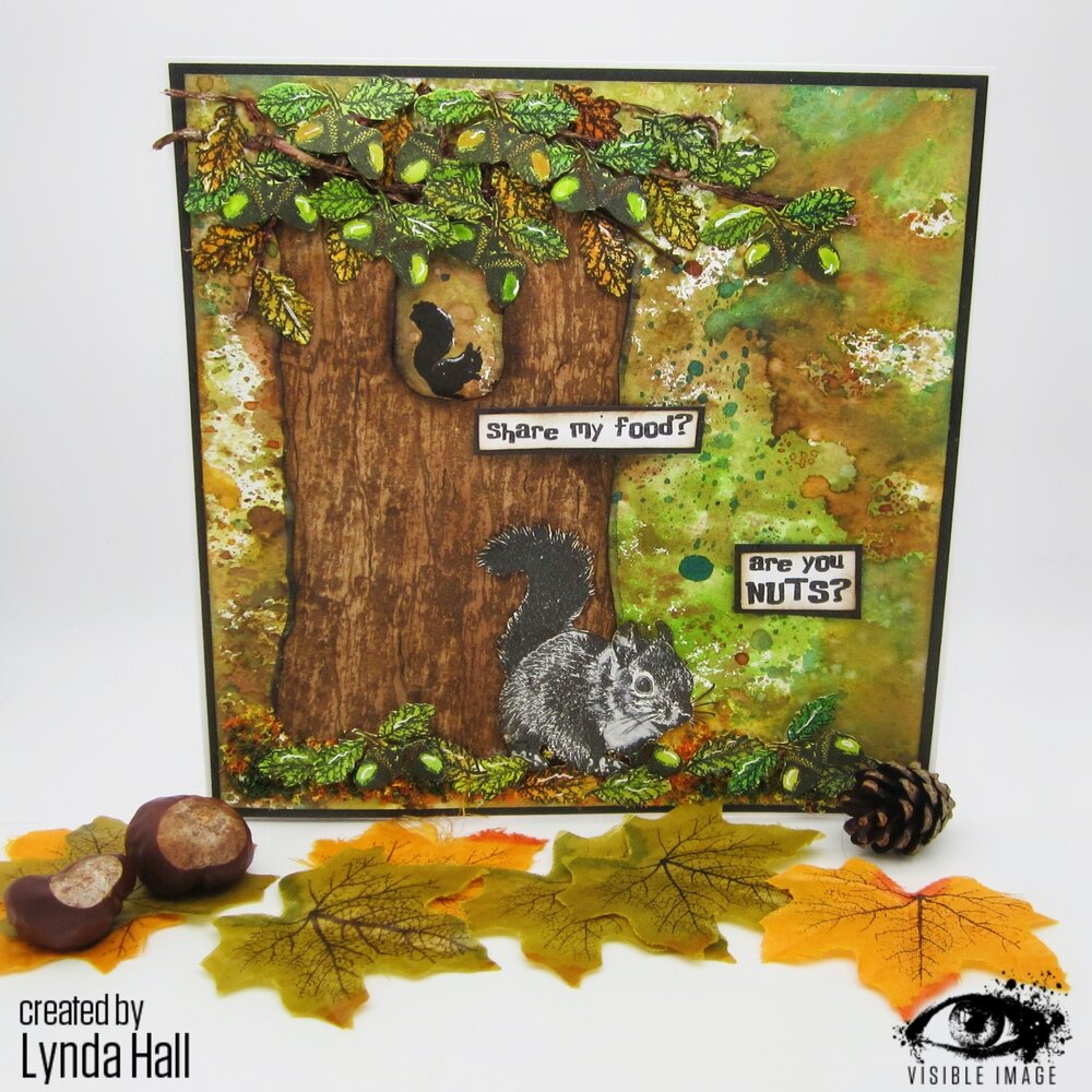 Visible Image Nuts About Squirrels A6 Stamp Set (VIS-NSQ-01) Visible Image Nuts About Squirrels A6 Stamp Set (VIS-NSQ-01)