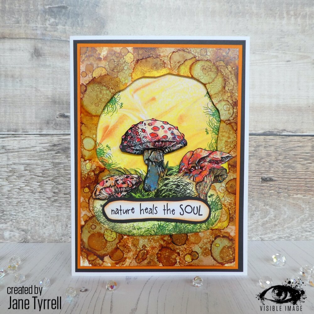 Visible Image Totally Toadstools A6 Stamp Set (VIS-TOT-01) Visible Image Totally Toadstools A6 Stamp Set (VIS-TOT-01)