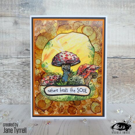 Visible Image Totally Toadstools A6 Stamp Set (VIS-TOT-01) Visible Image Totally Toadstools A6 Stamp Set (VIS-TOT-01)