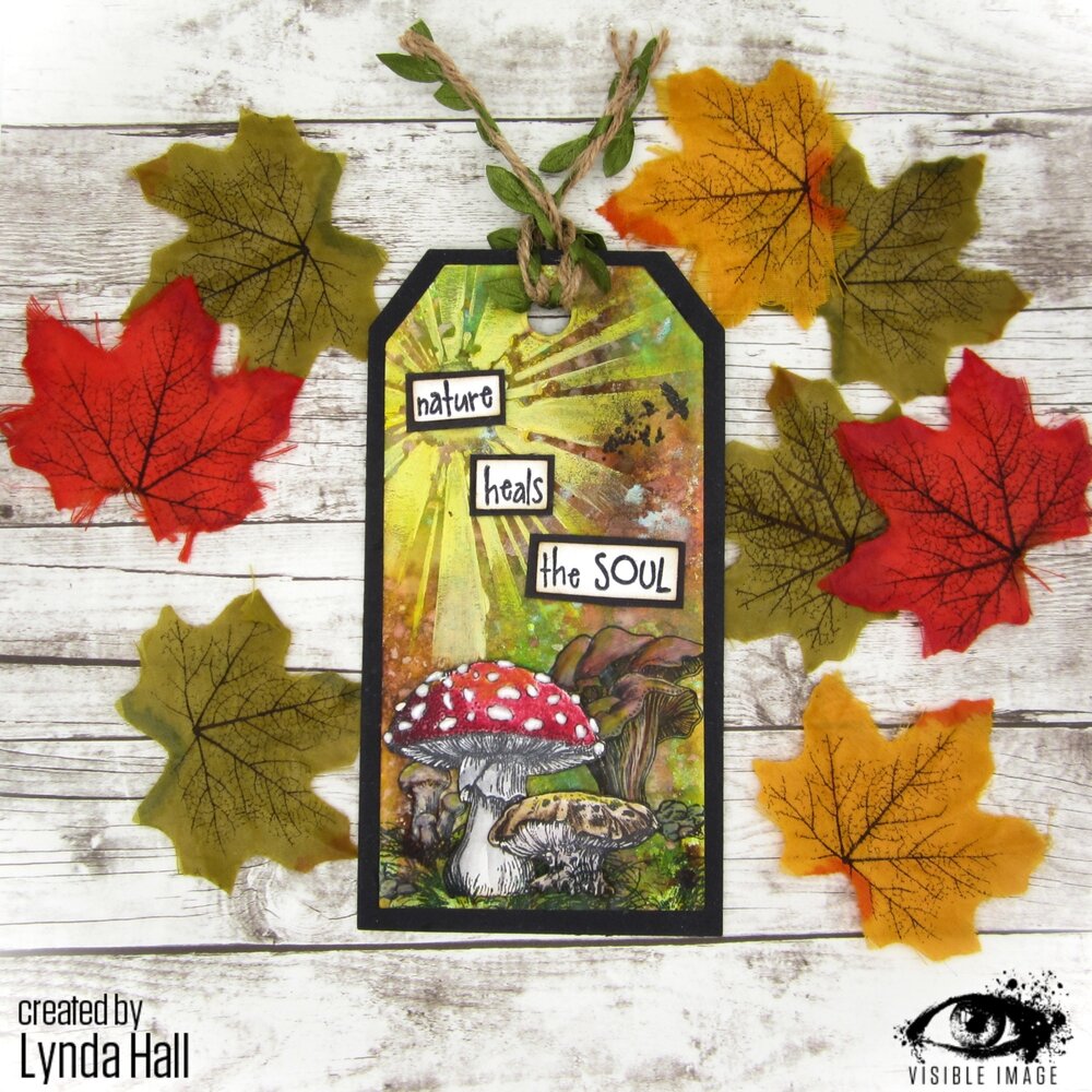 Visible Image Totally Toadstools A6 Stamp Set (VIS-TOT-01) Visible Image Totally Toadstools A6 Stamp Set (VIS-TOT-01)