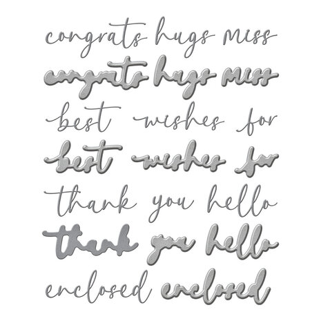 Spellbinders Vivid Script Sentiments Etched Dies (S5-679) Spellbinders Vivid Script Sentiments Etched Dies (S5-679)