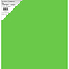 Paper Favourites Fresh Green A4 Smooth Cardstock 220gsm (10pcs) (PFSS709) Paper Favourites Fresh Green A4 Smooth Cardstock 220gsm (10pcs) (PFSS709)