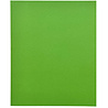 Paper Favourites Smooth Cardstock A4 Fresh Green 220gsm (10pcs) (PFSS709)