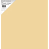 Paper Favourites Yellow Orchre A4 Smooth Cardstock 220gsm (10pcs) (PFSS710) Paper Favourites Yellow Orchre A4 Smooth Cardstock 220gsm (10pcs) (PFSS710)
