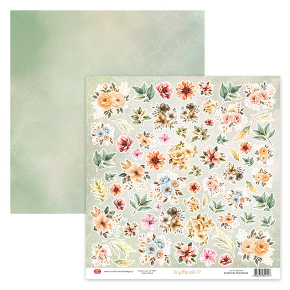 Craft & You Design Tiny Miracles 12x12 Inch Creative Set 250gsm (8sheets) (CSET-TM30-8)