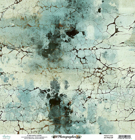 Mintay Photographer 12x12 Inch Paper Elements (MT-PHO-09)