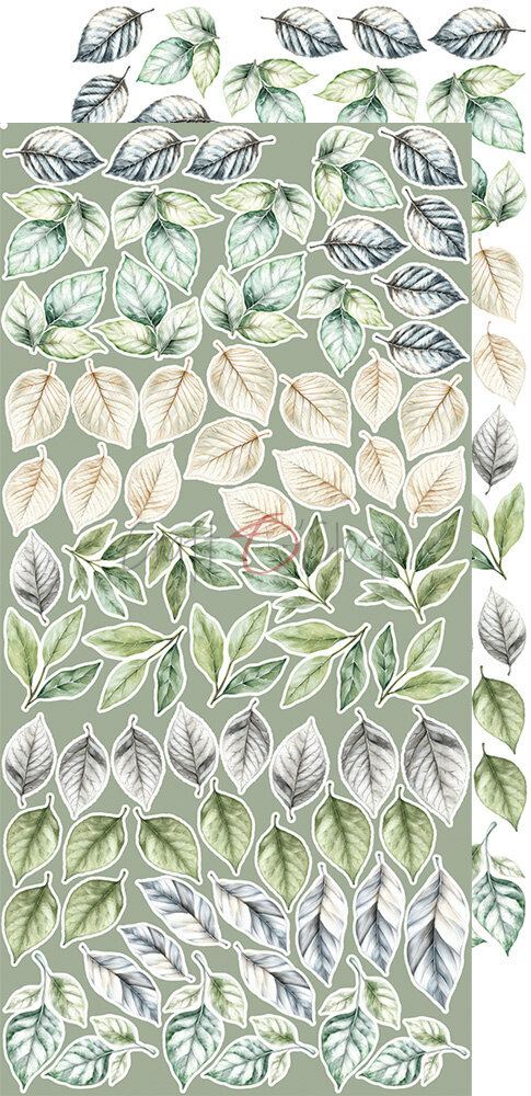 Craft O'Clock Cherished Memories Extras Set Flowers & More (CC-C72-CHM-11) Craft O'Clock Cherished Memories Extras Set Flowers & More (CC-C72-CHM-11)