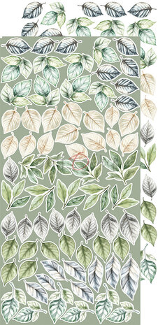 Craft O'Clock Cherished Memories Extras Set Flowers & More (CC-C72-CHM-11) Craft O'Clock Cherished Memories Extras Set Flowers & More (CC-C72-CHM-11)