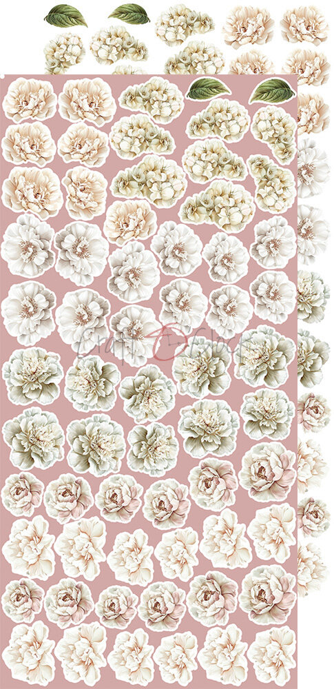 Craft O'Clock Rose Emotions Extras Set Flowers & More (CC-C73-RE-11) Craft O'Clock Rose Emotions Extras Set Flowers & More (CC-C73-RE-11)
