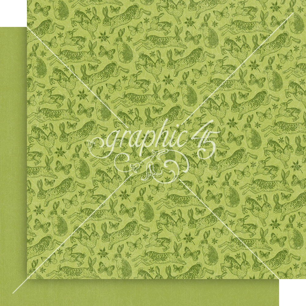 Graphic 45 Spring is in the Air 12x12 Inch Patterns & Solids Pack (4502975) Graphic 45 Spring is in the Air 12x12 Inch Patterns & Solids Pack (4502975)