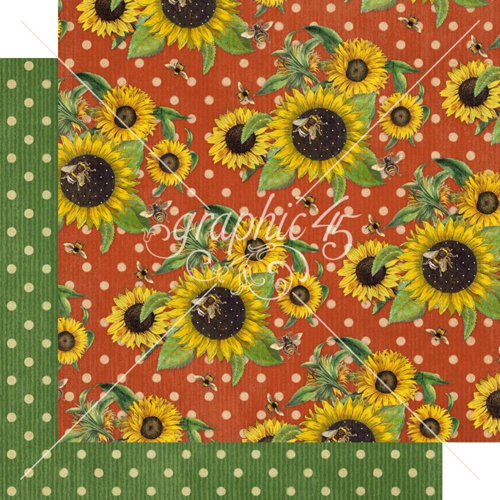 Graphic 45 Let it Bee Keepsake Kit with Exclusive Metal Die-Set (4503006)