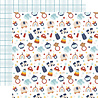 Echo Park Baby On Board It's a Boy! 12x12 Inch Collection Kit (BOB415016) Echo Park Baby On Board It's a Boy! 12x12 Inch Collection Kit (BOB415016)