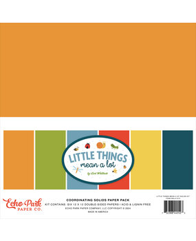Echo Park Little Things Mean A Lot 12x12 Inch Coordinating Solids Paper Pad (MAL411015)