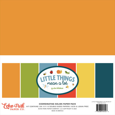 Echo Park Little Things Mean A Lot 12x12 Inch Coordinating Solids Paper Pad (MAL411015)