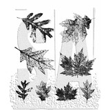 Stampers Anonymous Falling Leaves Tim Holtz Cling Stamps (CMS097)