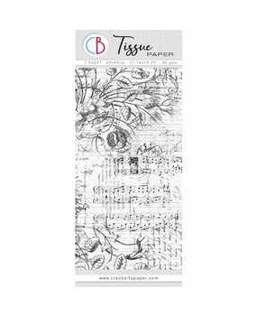 Ciao Bella Tissue Paper 69x49cm Aesthetic (HT030)