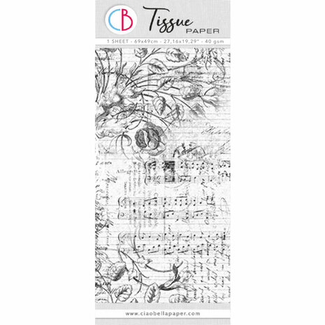 Ciao Bella Tissue Paper 69x49cm Aesthetic (HT030)