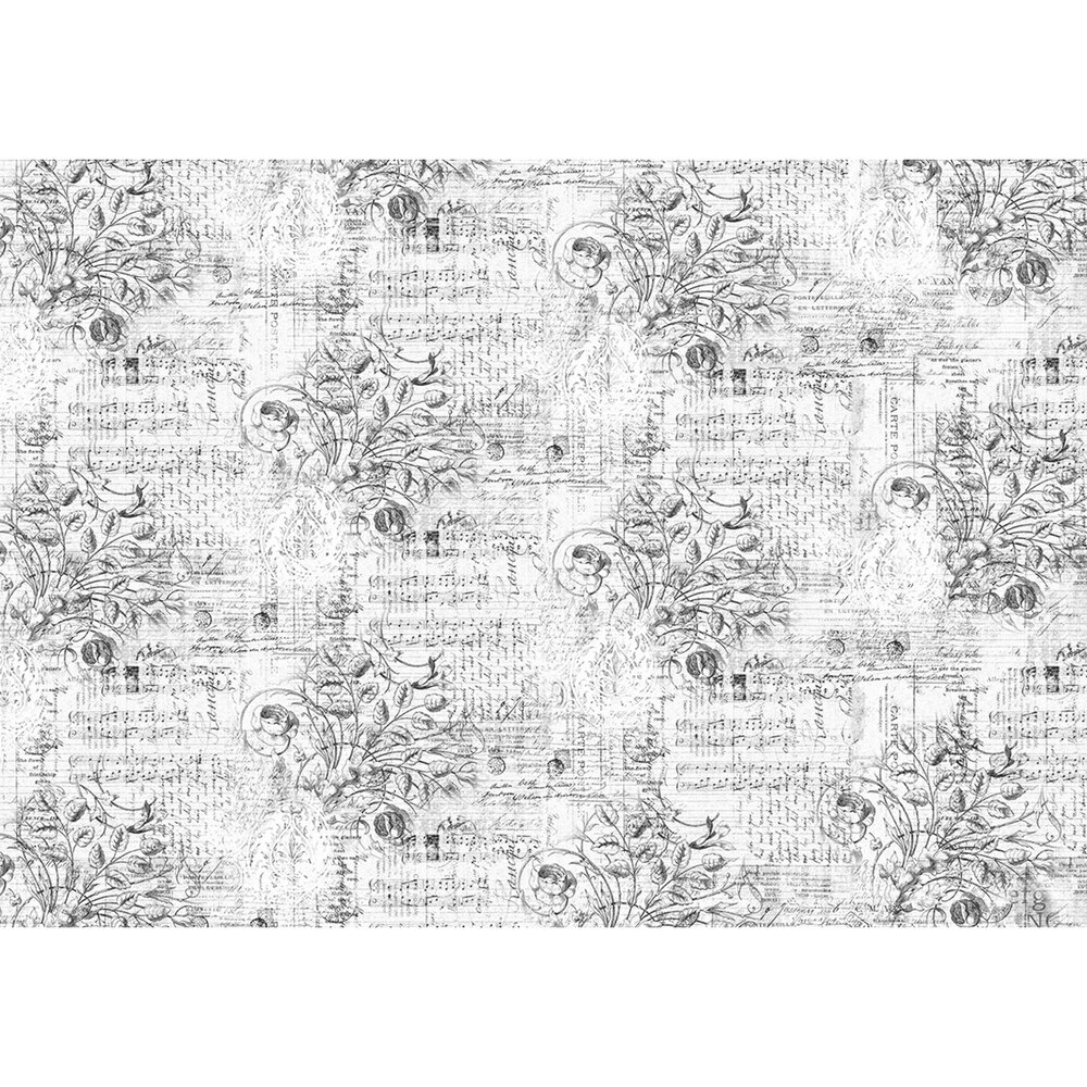 Ciao Bella Tissue Paper 69x49cm Aesthetic (HT030)