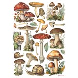Stamperia Mushrooms A4 Rice Paper (6pcs) (DFSA41000) Stamperia Mushrooms A4 Rice Paper (6pcs) (DFSA41000)