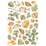 Stamperia Leaves A4 Rice Paper (6pcs) (DFSA4999) Stamperia Leaves A4 Rice Paper (6pcs) (DFSA4999)