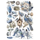 Stamperia Birds A4 Rice Paper (6pcs) (DFSA41003) Stamperia Birds A4 Rice Paper (6pcs) (DFSA41003)