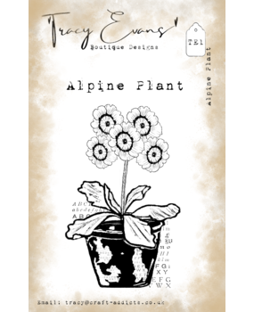 Tracy Evans Alpine Plant A7 Stamp (TE001) Tracy Evans Alpine Plant A7 Stamp (TE001)
