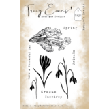 Tracy Evans Nature's Beauty A6 Stamp (TE031)