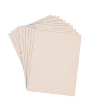 Spellbinders Blush 8.5x11 Inch ColorWheel Cardstock (10 Sheets) (CS-8-103)
