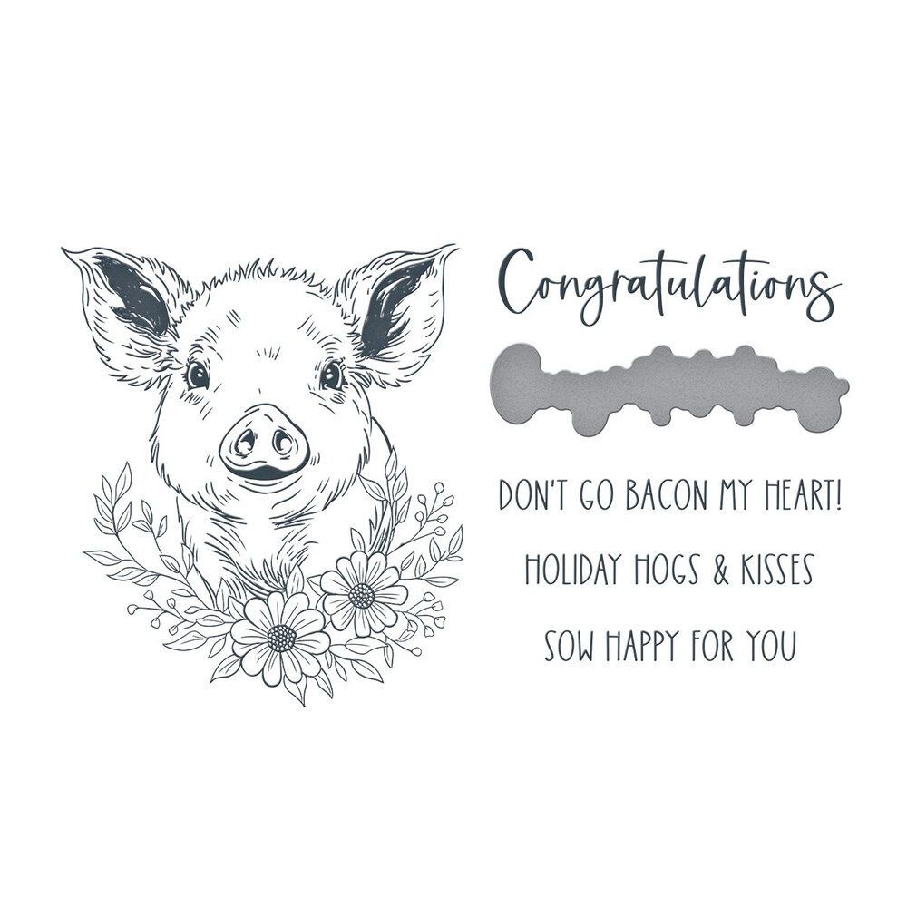 Spellbinders Daisy BetterPress Plate & Die Set (BP-232) (DISCONTINUED) Spellbinders Daisy BetterPress Plate & Die Set (BP-232) (DISCONTINUED)