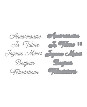 Spellbinders French Everyday Sentiments Etched Dies (S5-678)
