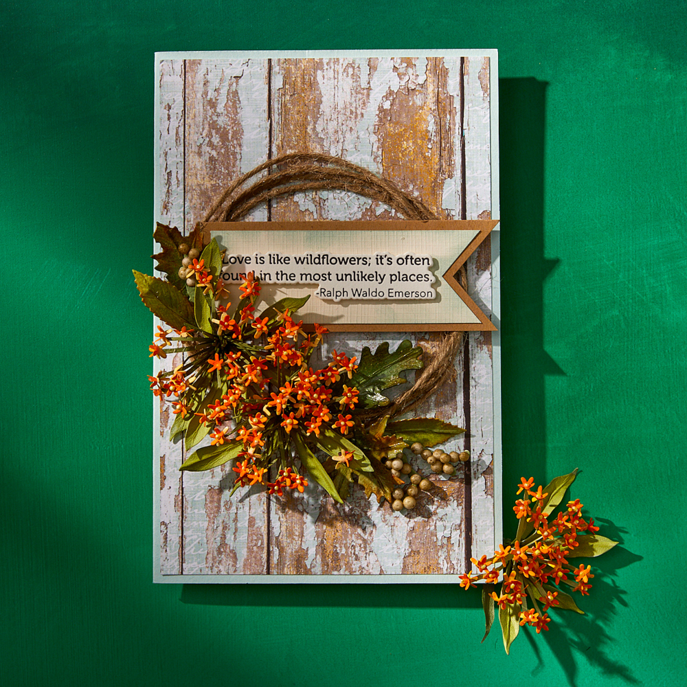 Spellbinders Through the Meadow Die Bundle (BD-0917) Spellbinders Through the Meadow Die Bundle (BD-0917)