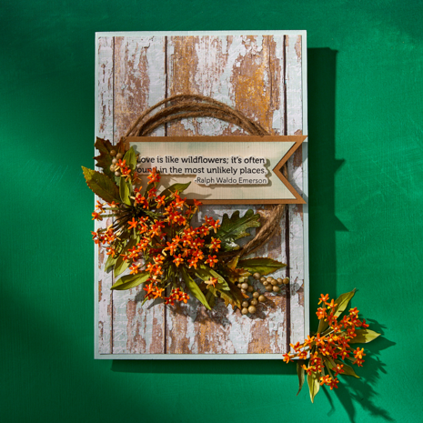 Spellbinders Through the Meadow Die Bundle (BD-0917) Spellbinders Through the Meadow Die Bundle (BD-0917)