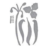 Spellbinders Spiderwort Etched Dies (S4-1391)