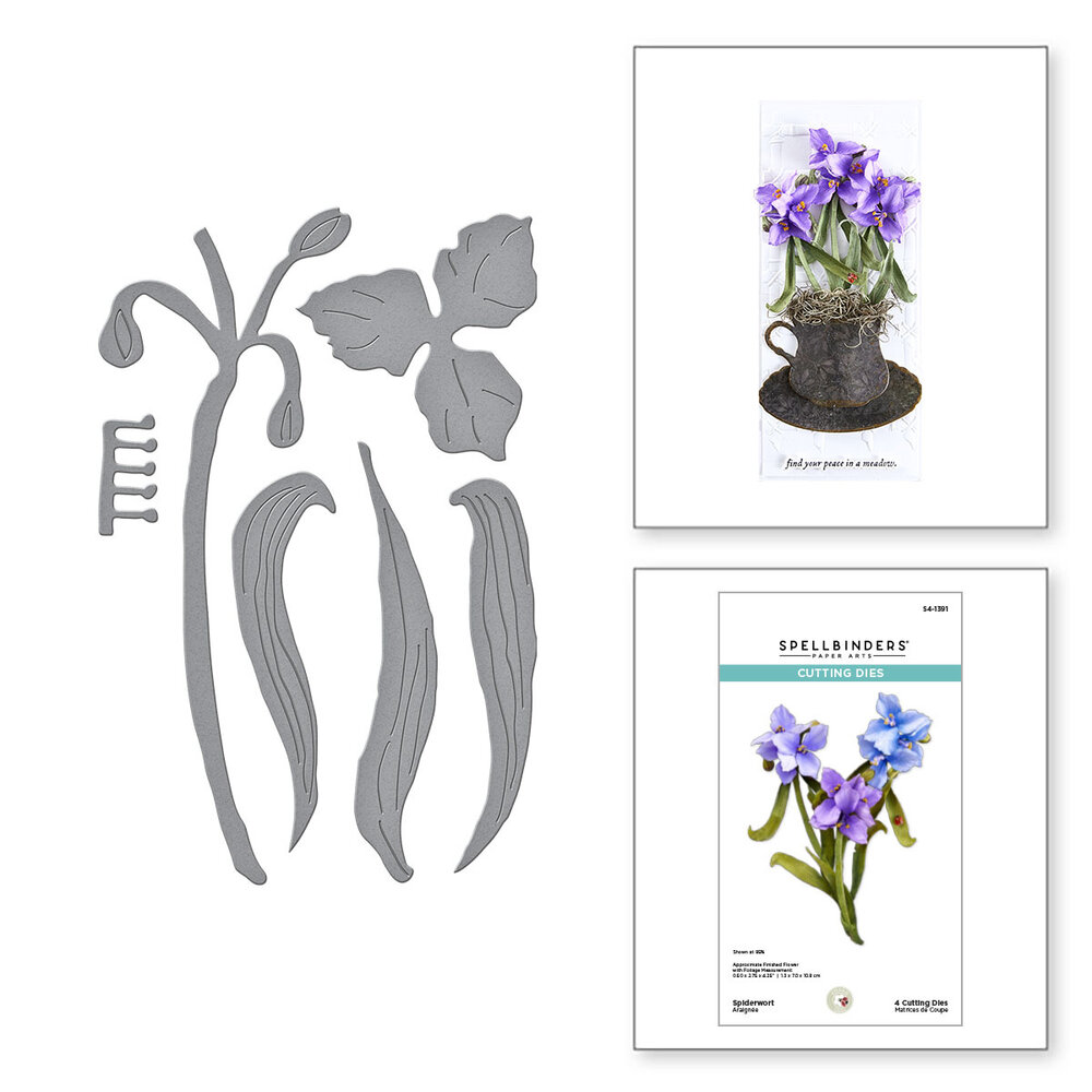 Spellbinders Spiderwort Etched Dies (S4-1391)