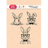 Craft & You Design Funny Bunnies Set Stamps (CYD-CS048)