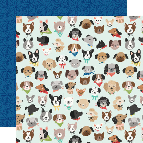 Simple Stories Fur Baby Dog Collection Kit (24000) Simple Stories Fur Baby Dog Collection Kit (24000)