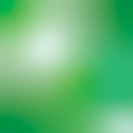 Crafter's Companion Royal Jungle 6x6 Inch Foil Transfers (S-RJ-FOILTR6) Crafter's Companion Royal Jungle 6x6 Inch Foil Transfers (S-RJ-FOILTR6)