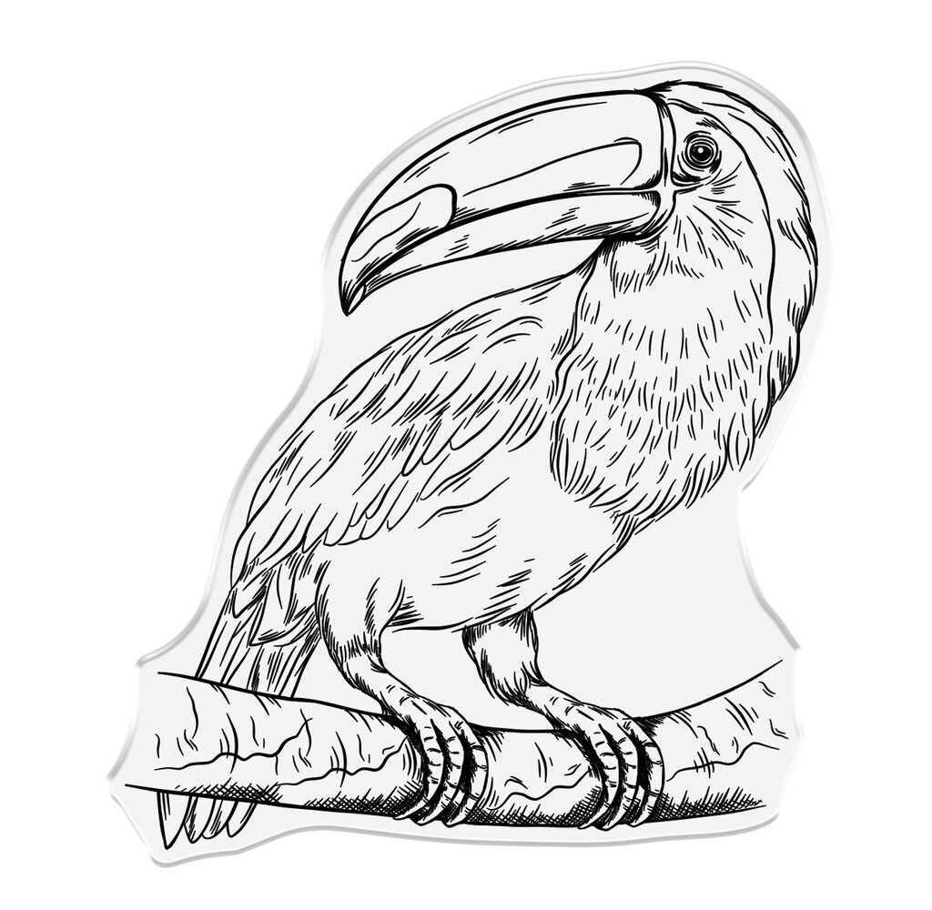 Crafter's Companion Royal Jungle Photopolymer Stamp Noble Toucan (S-RJ-STP-NOTO)