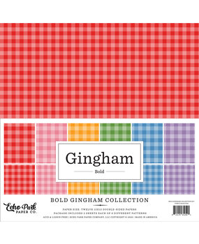 Echo Park Bold Gingham 12x12 Inch Collection Kit (BLG417016)