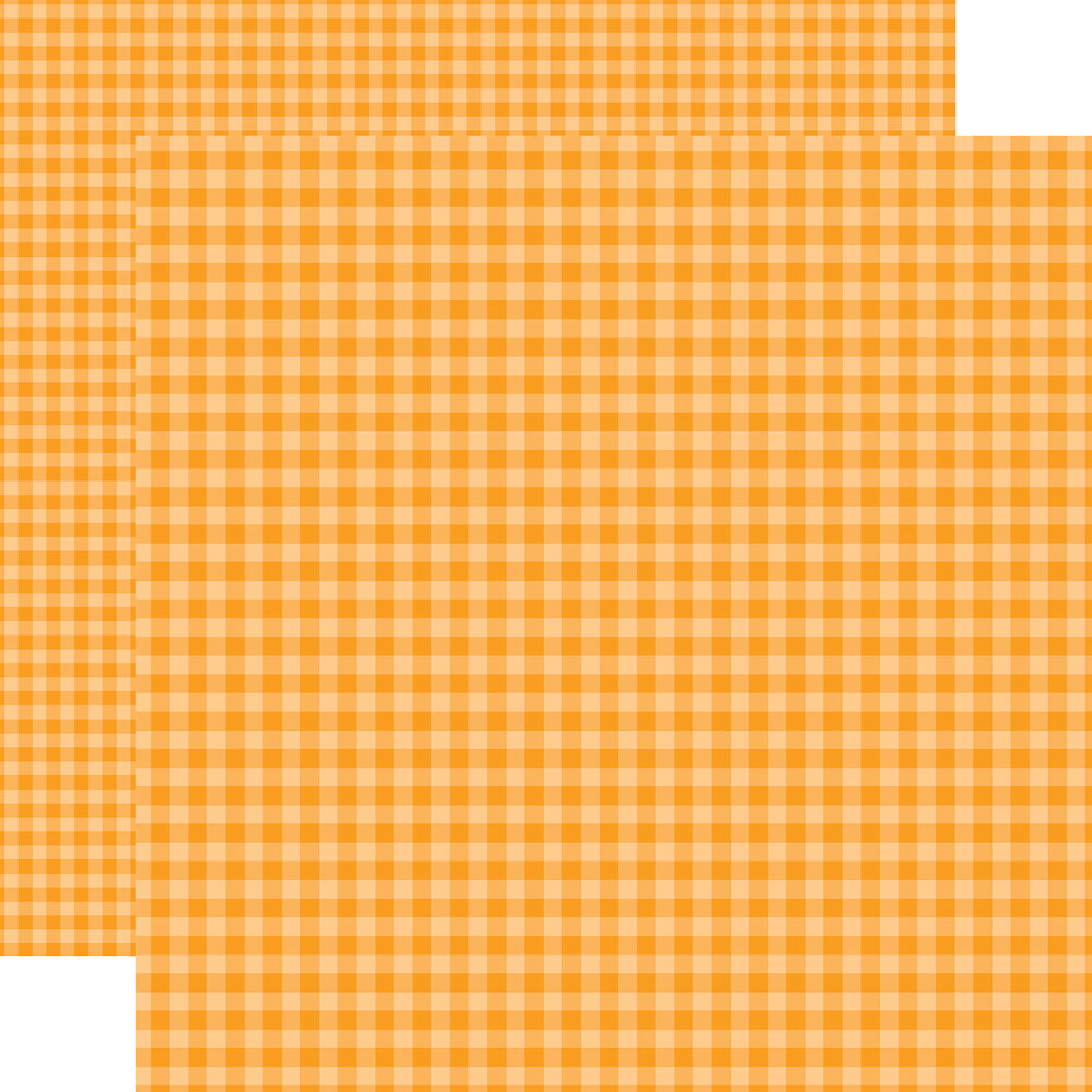 Echo Park Bold Gingham 12x12 Inch Collection Kit (BLG417016) Echo Park Bold Gingham 12x12 Inch Collection Kit (BLG417016)