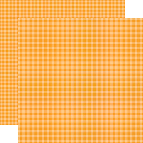 Echo Park Bold Gingham 12x12 Inch Collection Kit (BLG417016) Echo Park Bold Gingham 12x12 Inch Collection Kit (BLG417016)